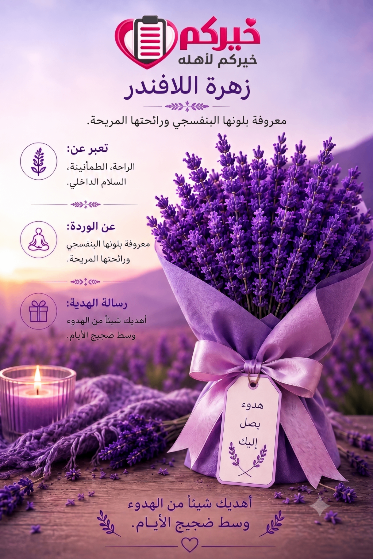 زهرة اللافندر